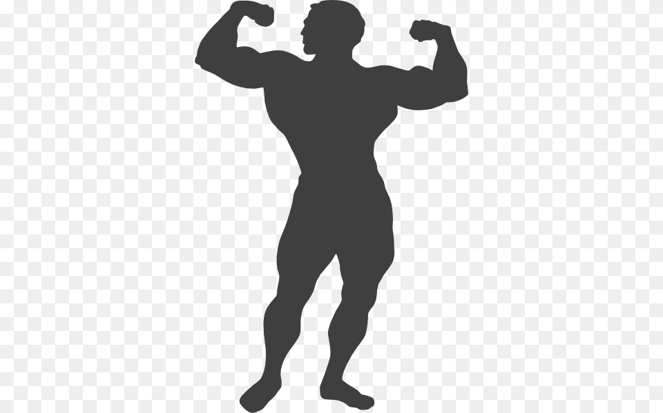 Muscle Clip Art, Silhouette, Adult, Male, Man Png