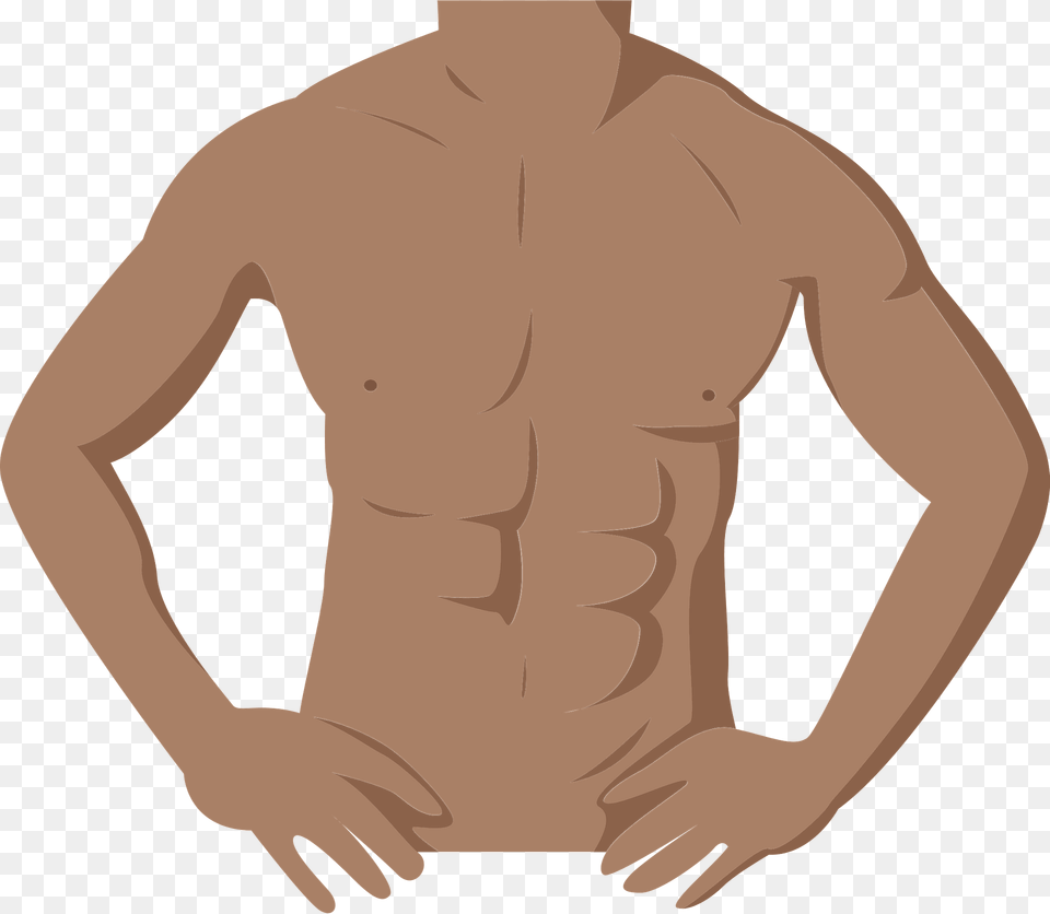 Muscle Clipart, Back, Body Part, Person, Torso Png Image