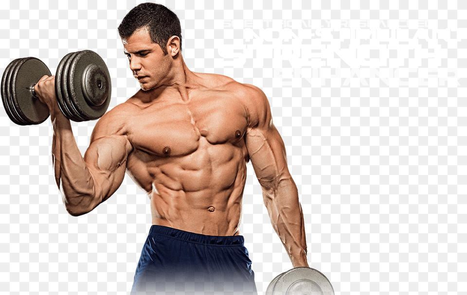 Muscle File Weight Training, Adult, Person, Man, Male Free Png Download