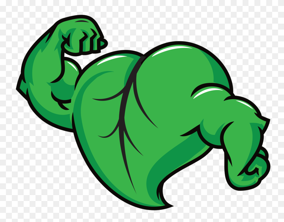 Muscle Garden Muscle, Green Free Png