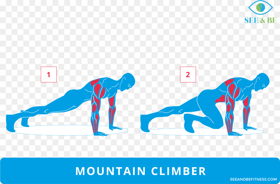Muscle Group Mountain Climber Muscles Workout, Person, Adult, Female, Woman Png