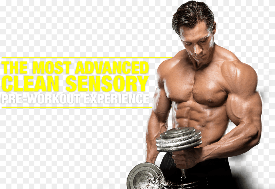 Muscle High Quality Workout Gym, Adult, Person, Man, Male Png
