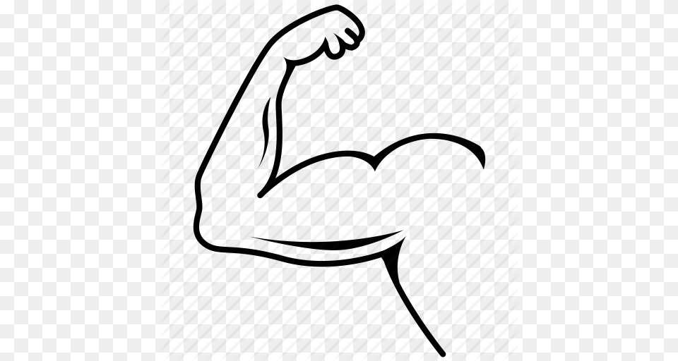 Muscle Icons Free Png