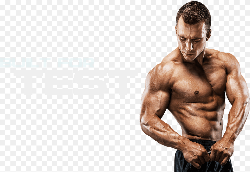 Muscle Image File Ayurveda Body Mass, Adult, Person, Man, Male Png