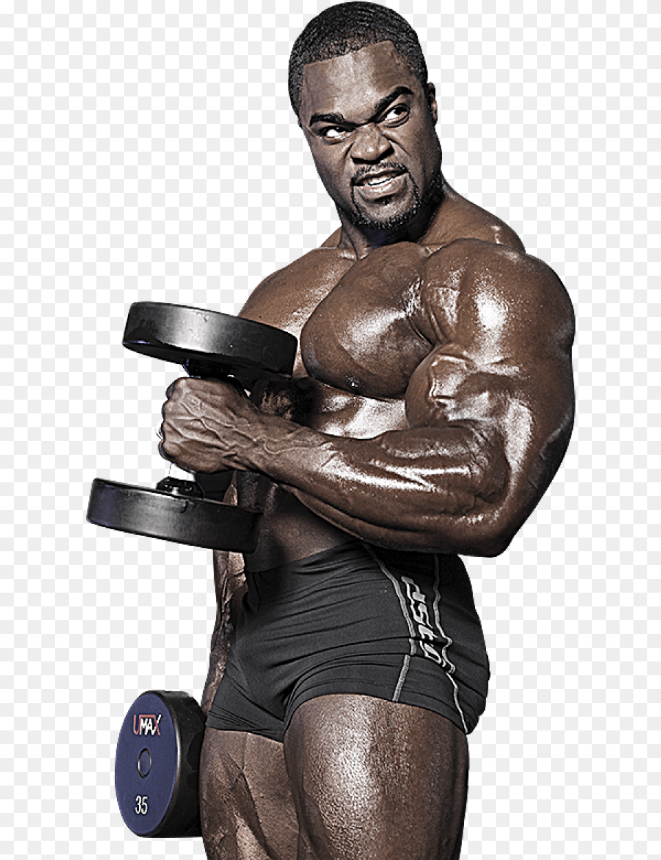 Muscle Man Image Muscle Men, Adult, Person, Male, Gym Weights Png