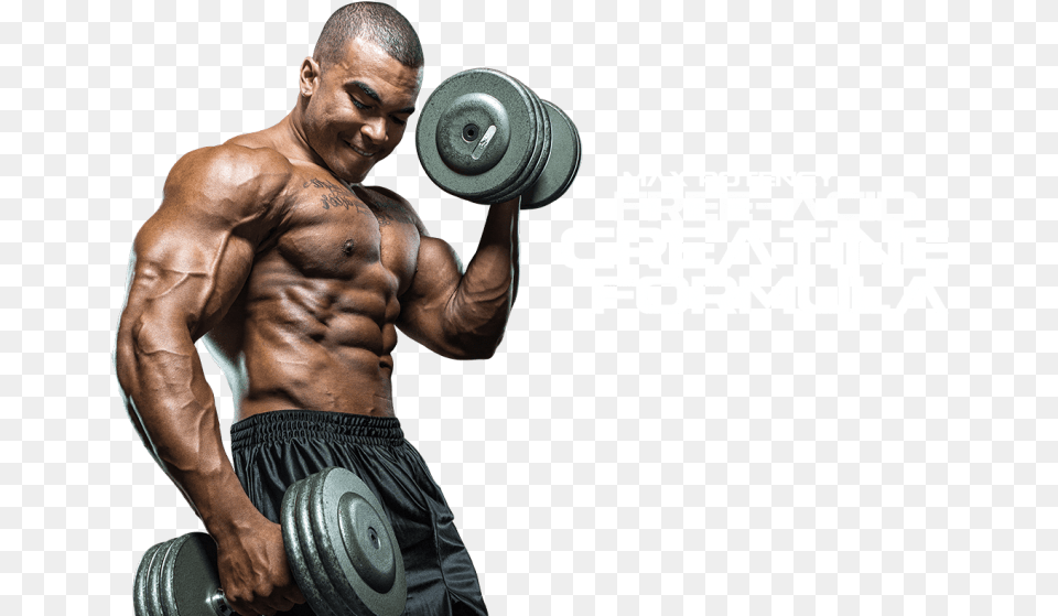 Muscle Man Images Transparent Body Builder Images, Adult, Person, Male, Gym Weights Png
