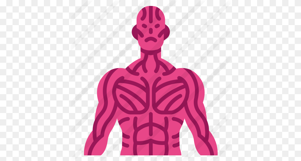 Muscle Muscles Flaticon, Adult, Male, Man, Person Free Png Download