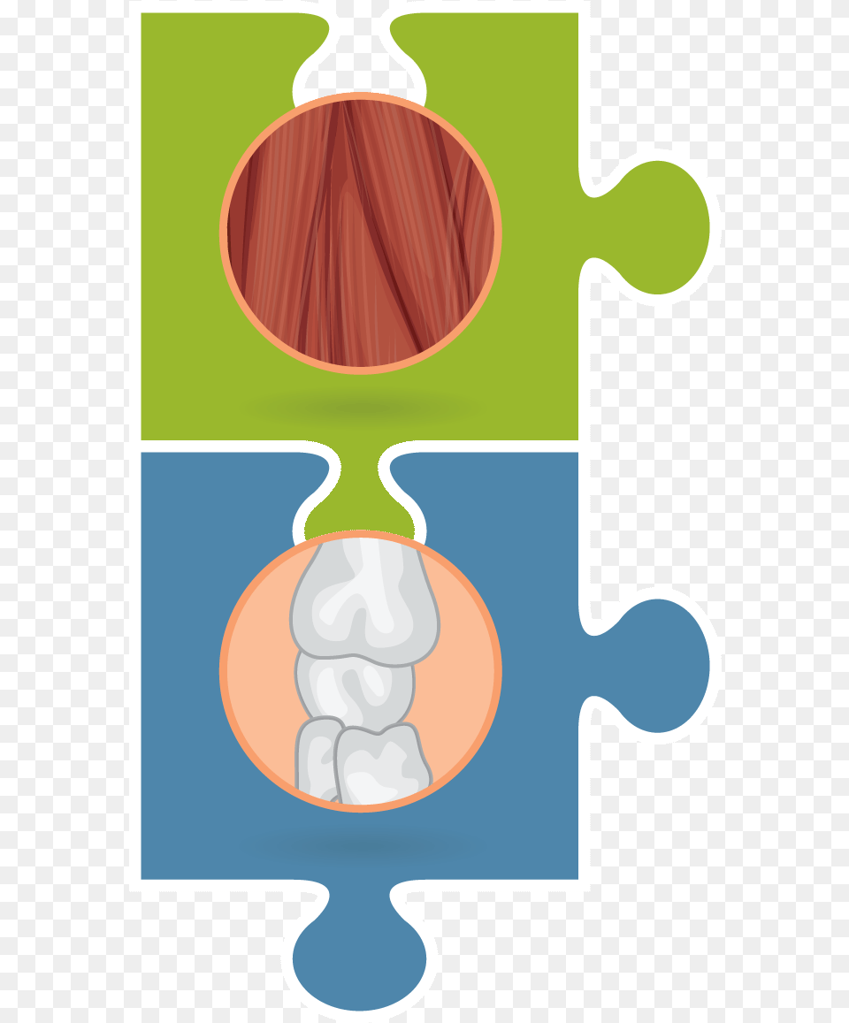Muscles Clipart Musculoskeletal System Musculoskeletal Clip Art Free Transparent Png