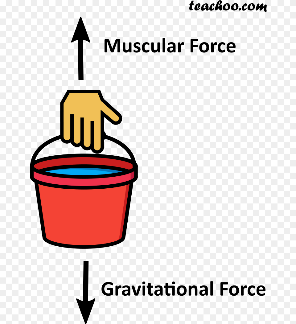 Muscular And Gravitational Force On A Bucket Gravitational Force For Class, Cup, Disposable Cup Free Png