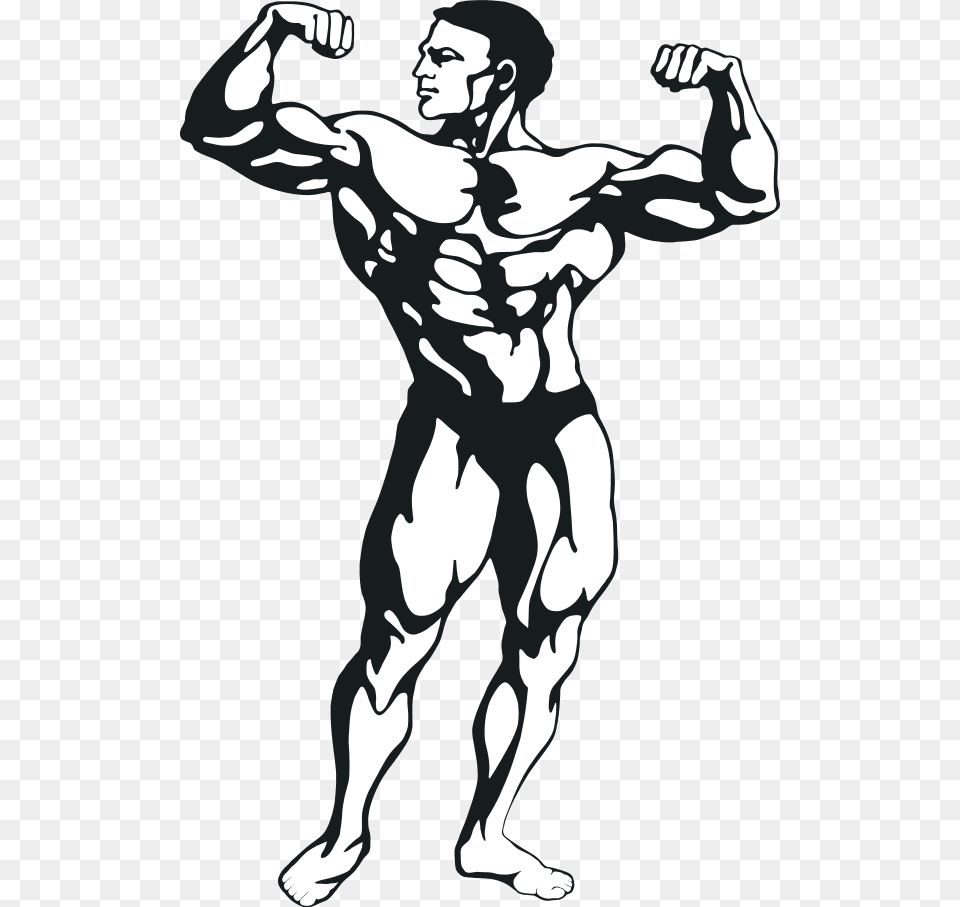 Muscular Man, Stencil, Adult, Male, Person Free Transparent Png