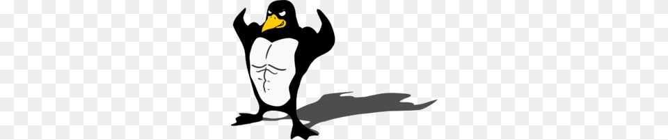 Muscular Penguin Clip Art For Web, Animal, Beak, Bird, Face Free Png
