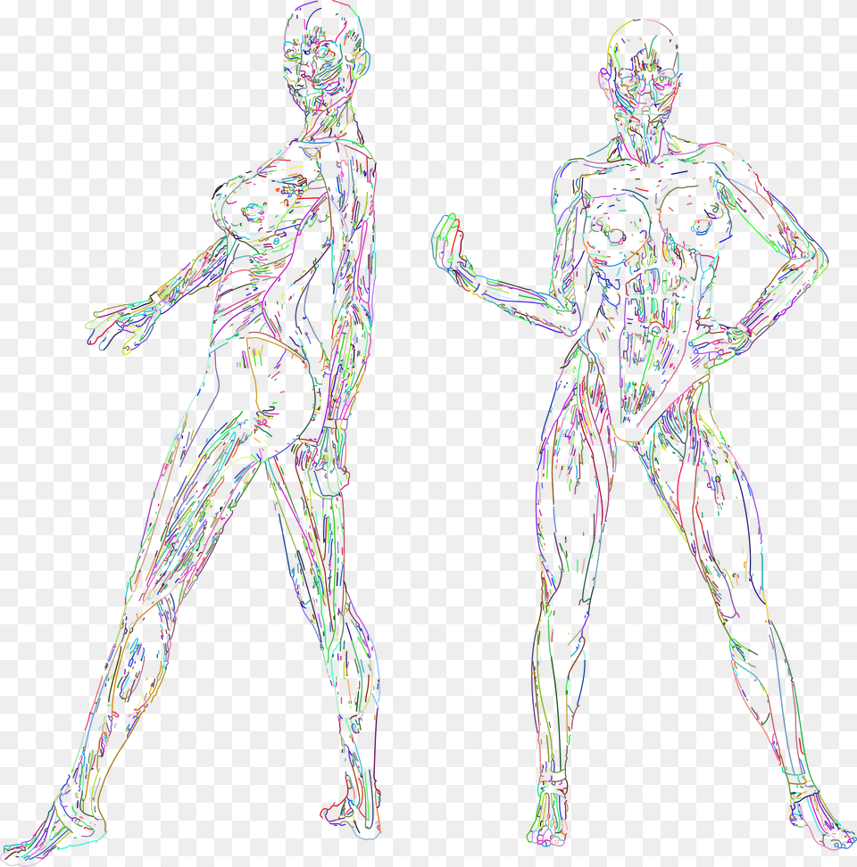 Muscular Women Line Art Prismatic No Bg, Adult, Female, Person, Woman Png Image