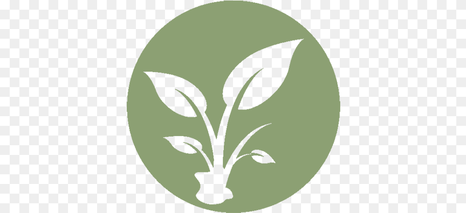 Museum Leaf Icon Utah State University Eastern, Green, Herbal, Herbs, Plant Png
