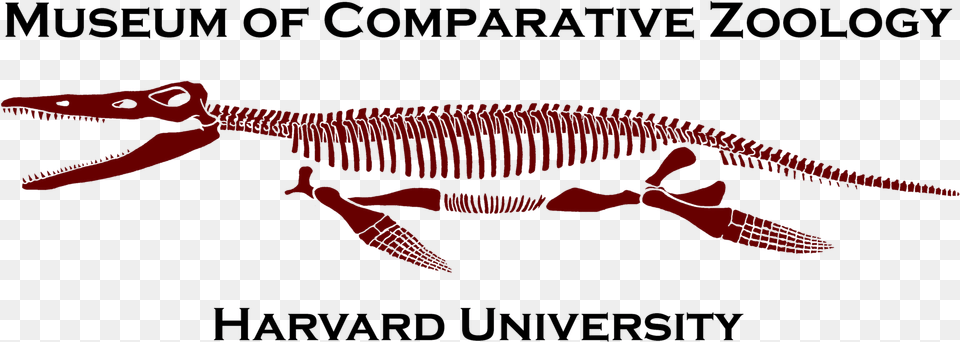Museum Of Comparative Zoology Logo, Animal Png