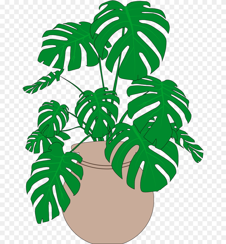 Mush A Ring Dum A Do Dum A Dawack Fall The Daddy O Monstera Plants, Jar, Leaf, Plant, Planter Png