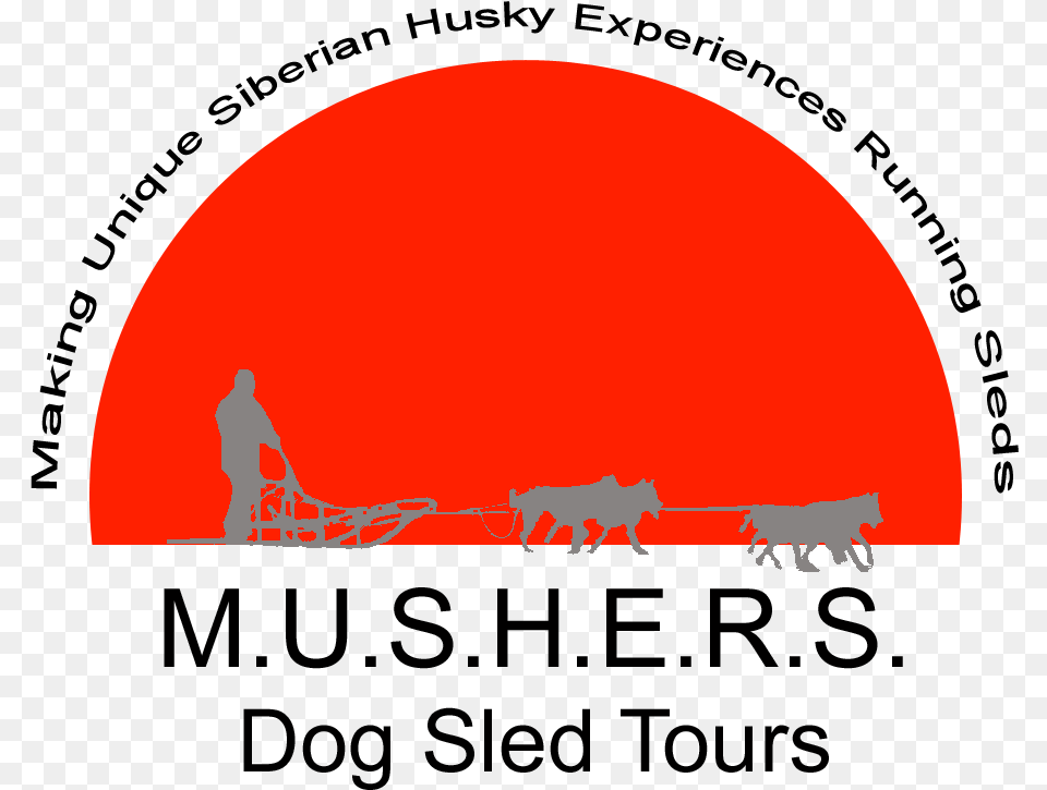 Mushers Dog Sled Tours, Nature, Outdoors, Animal, Mammal Png
