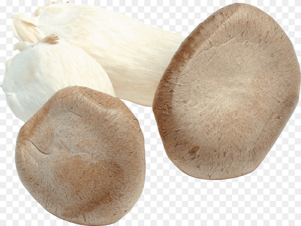 Mushroom, Bread, Food, Fungus, Plant Png