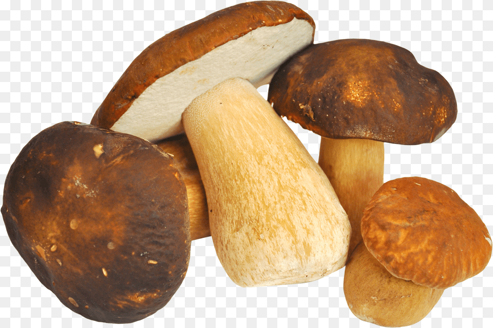Mushroom, Fungus, Plant, Bread, Food Free Png