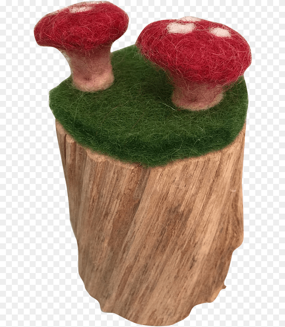 Mushroom, Plant, Tree, Tree Stump, Agaric Png