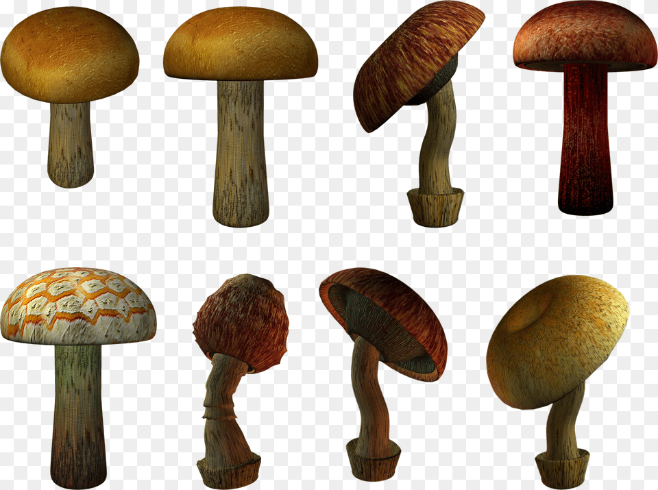 Mushroom Png