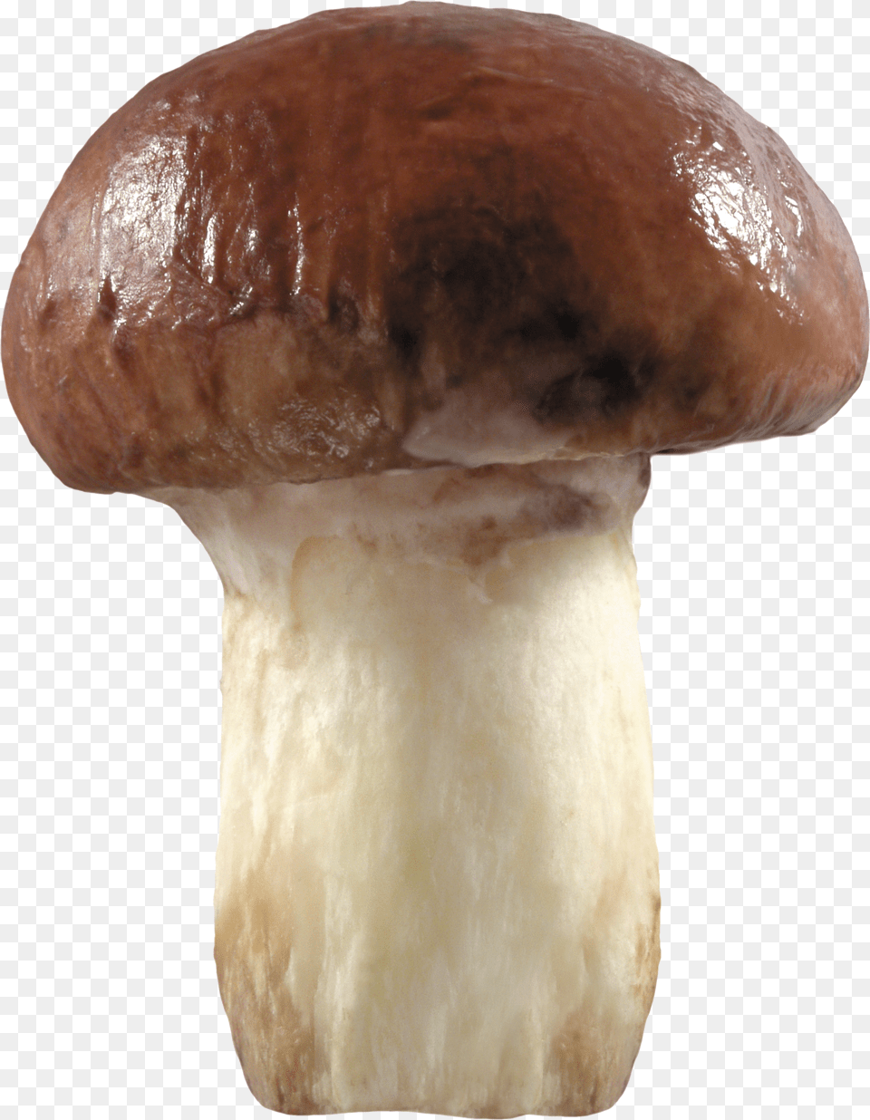 Mushroom Free Transparent Png