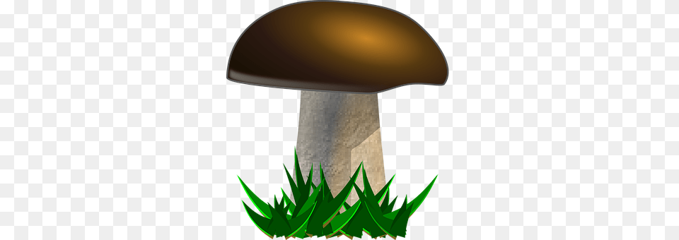Mushroom Fungus, Plant, Agaric Png Image