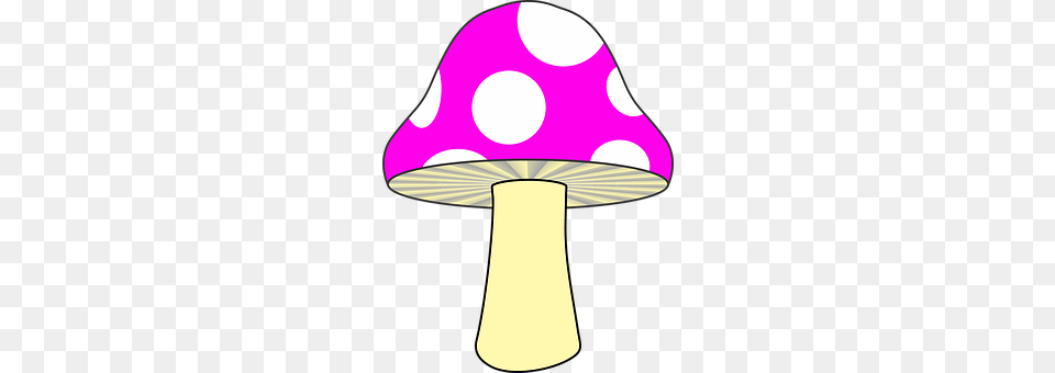 Mushroom Lamp, Lampshade, Disk, Fungus Free Png