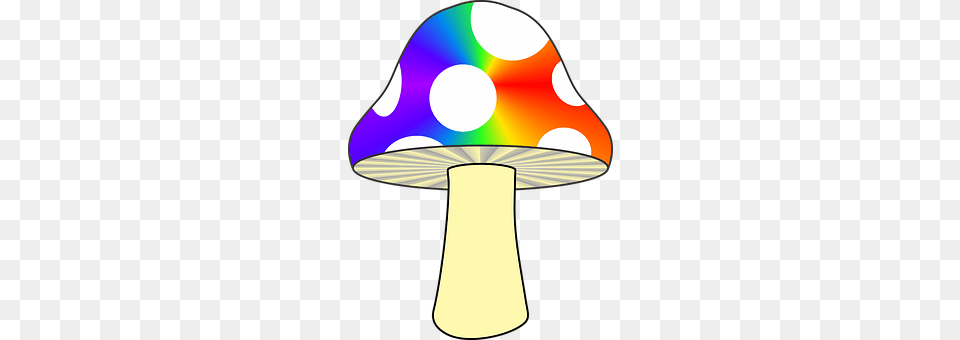 Mushroom Lamp, Disk, Lampshade, Fungus Png Image