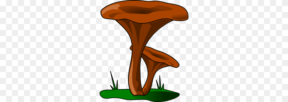 Mushroom Fungus, Plant, Agaric, Smoke Pipe Png Image
