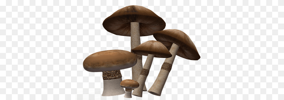 Mushroom Fungus, Plant, Agaric, Amanita Png