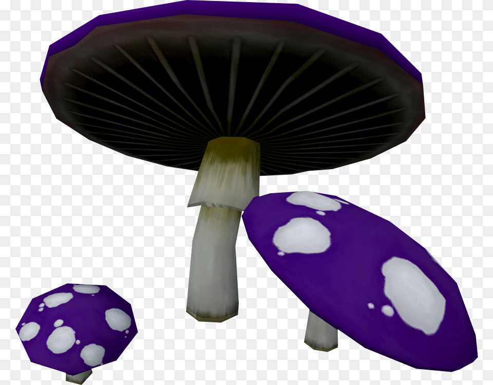 Mushroom, Agaric, Amanita, Fungus, Plant Free Png