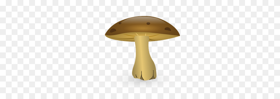 Mushroom Fungus, Plant, Agaric, Amanita Free Png