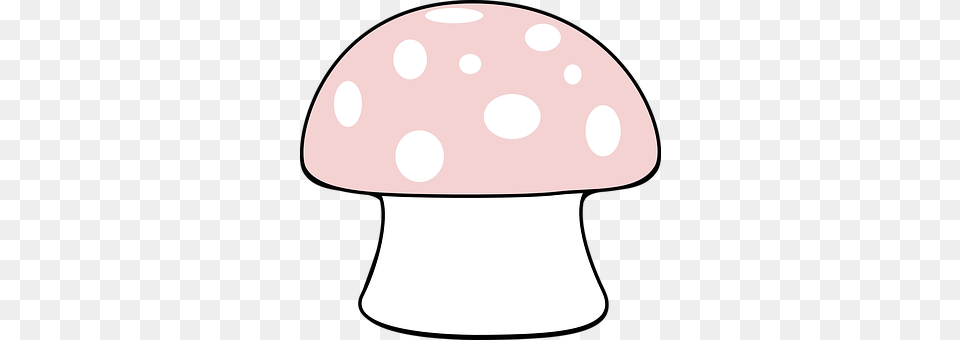 Mushroom Fungus, Plant, Agaric, Disk Png Image