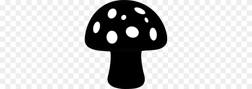 Mushroom Fungus, Plant, Agaric Free Transparent Png