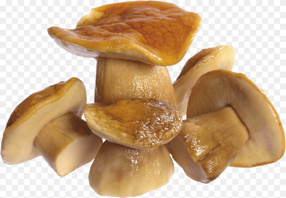 Mushroom Free Transparent Png