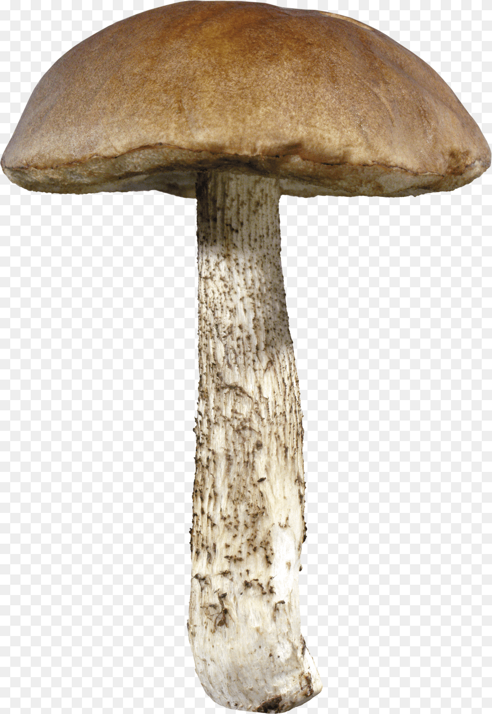 Mushroom Free Transparent Png