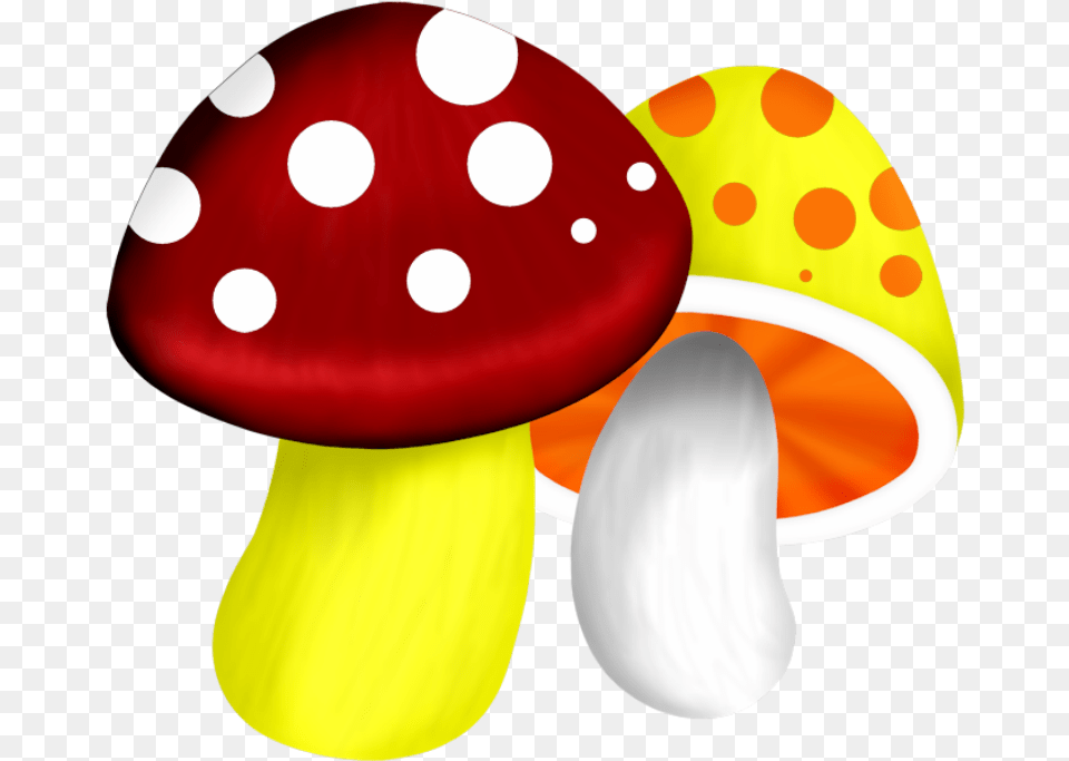 Mushroom, Agaric, Fungus, Plant, Egg Free Png