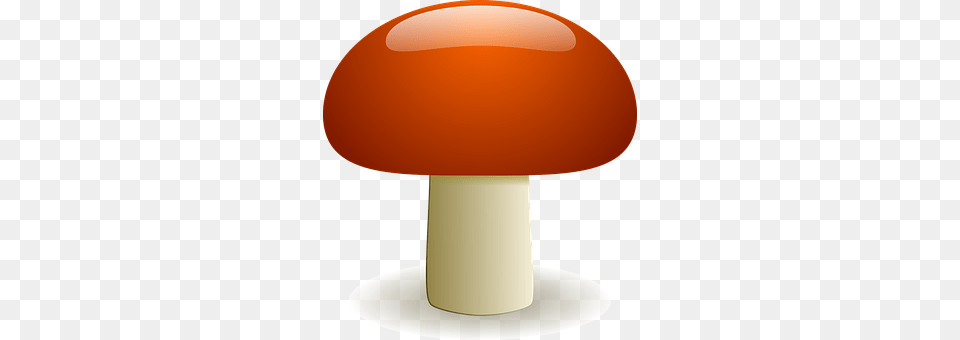 Mushroom Fungus, Plant, Agaric, Amanita Free Transparent Png