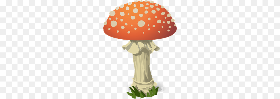 Mushroom Agaric, Amanita, Fungus, Plant Free Transparent Png