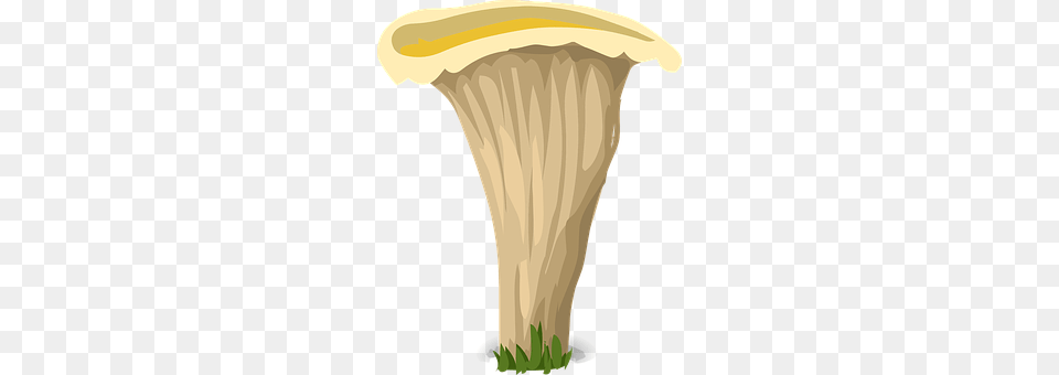 Mushroom Fungus, Plant, Agaric, Amanita Png Image