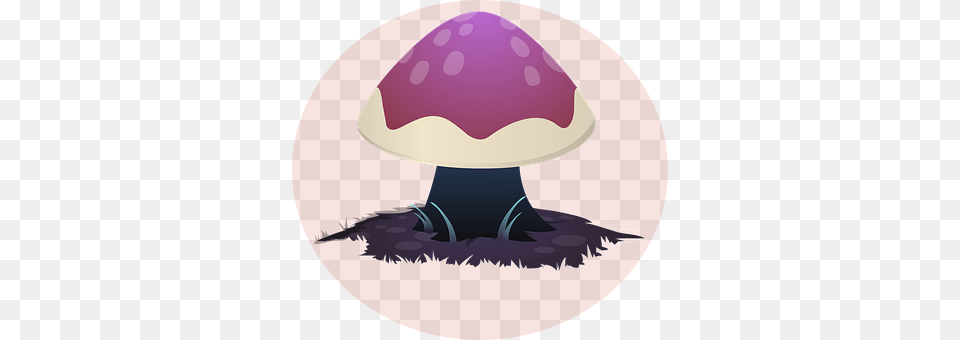 Mushroom Fungus, Plant, Agaric Png Image