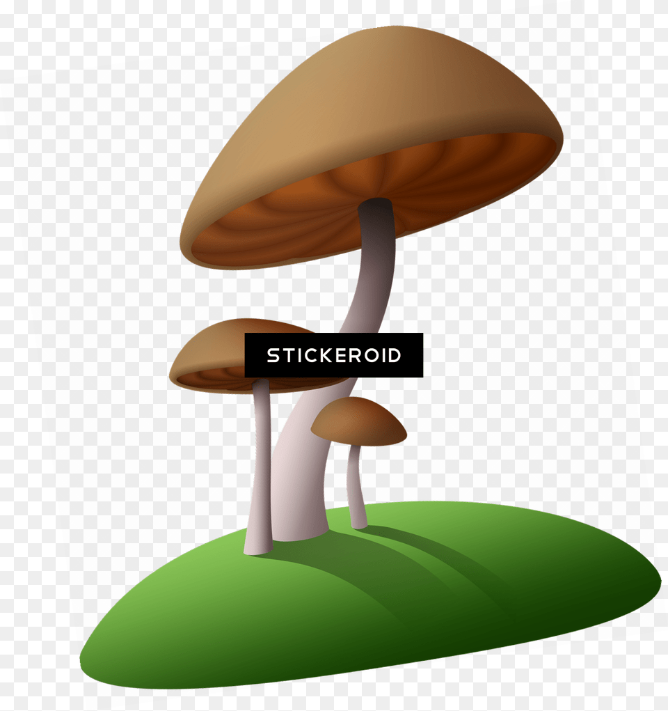 Mushroom, Fungus, Plant, Agaric, Amanita Png Image