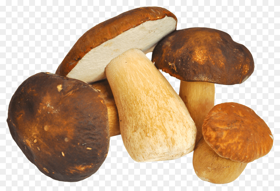 Mushroom, Bread, Food, Fungus, Plant Free Png
