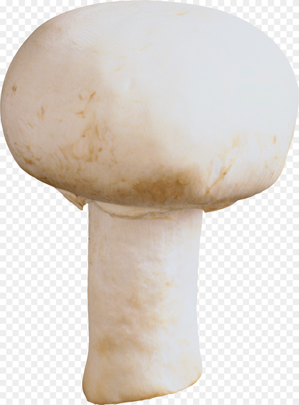 Mushroom, Balloon Png Image