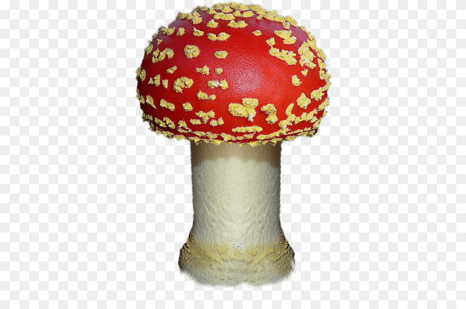 Mushroom Autumn Red Fly Agaric, Amanita, Fungus, Plant, Person Free Transparent Png