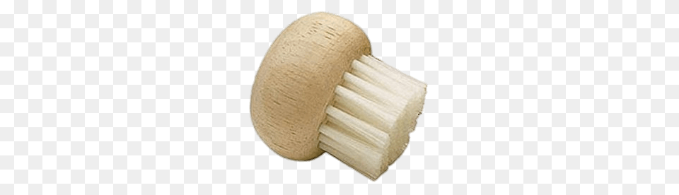 Mushroom Cleaning Brush, Device, Tool, Toothbrush, Accessories Png Image