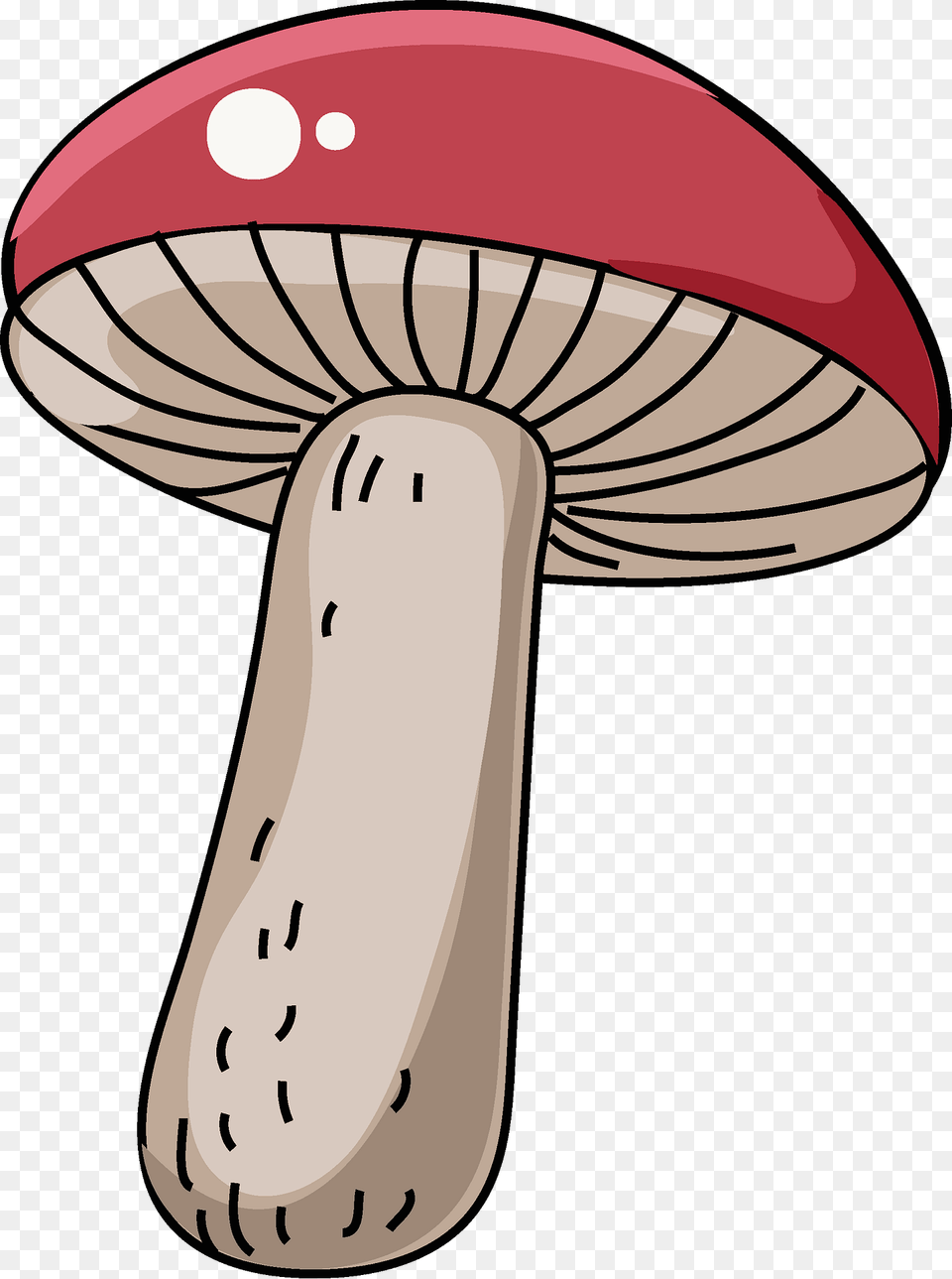 Mushroom Clipart, Agaric, Fungus, Plant, Amanita Png