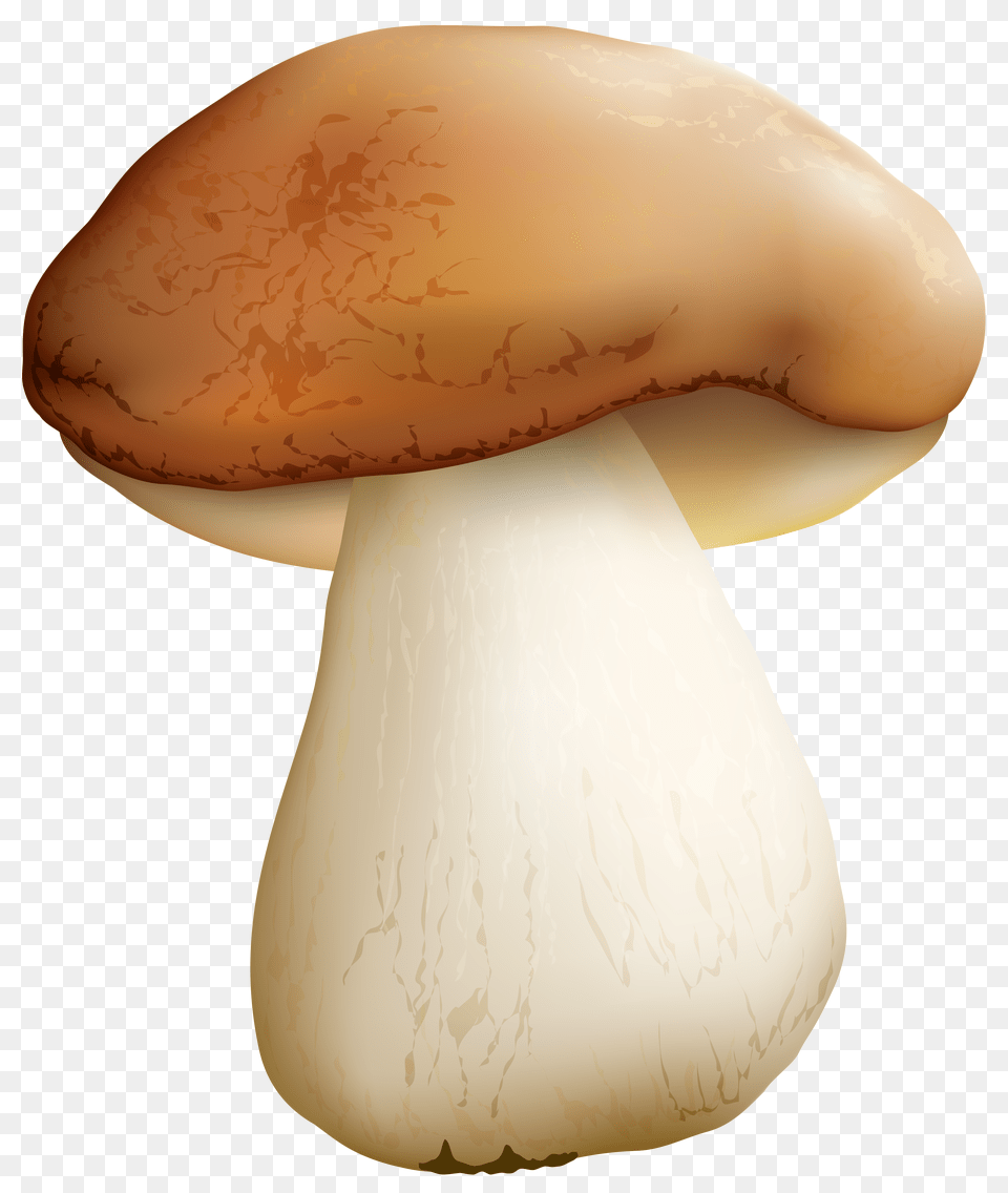 Mushroom Clipart, Fungus, Plant, Agaric, Amanita Free Transparent Png