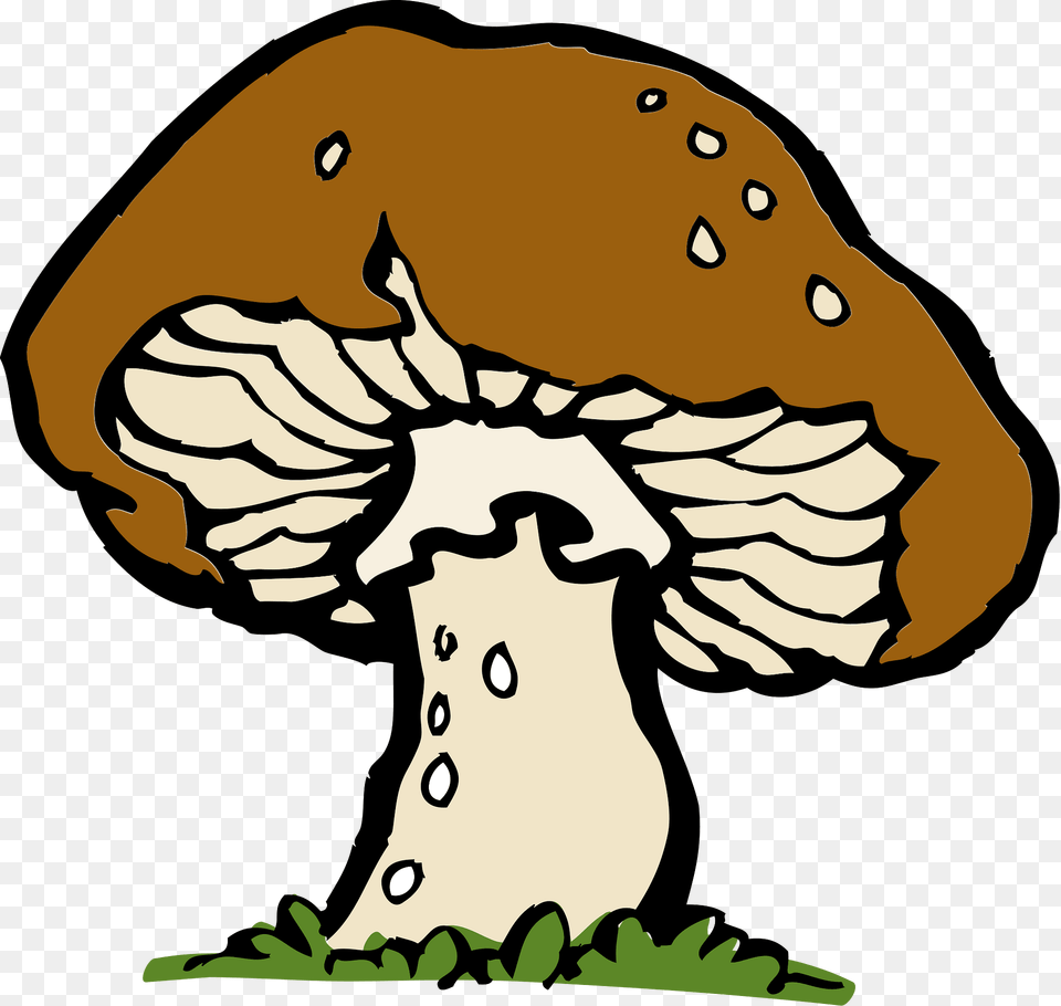 Mushroom Clipart, Agaric, Plant, Fungus, Mammal Free Png