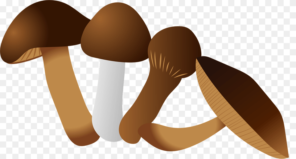 Mushroom Clipart, Fungus, Plant, Agaric, Amanita Free Png Download